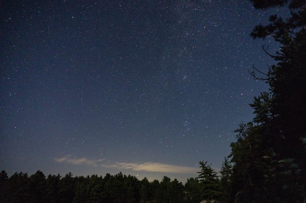 Starry Night Sky Over Forest Photo Starry Night Sky Over Forest Photo
