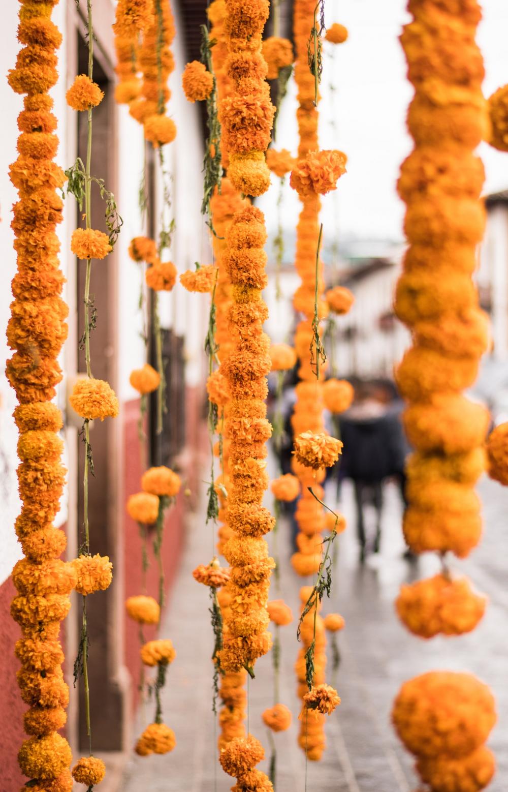 Strings Of Marigolds Hung On The Street Photo Strings Of Marigolds Hung On The Street Photo