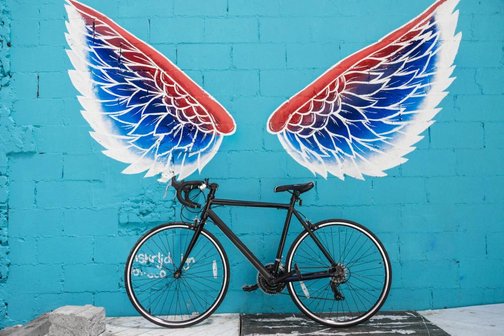 Winged Wheels Photo Winged Wheels Photo