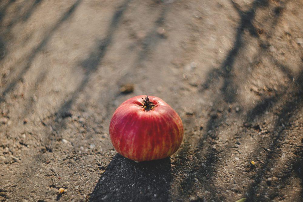 Apple on the road Apple on the road