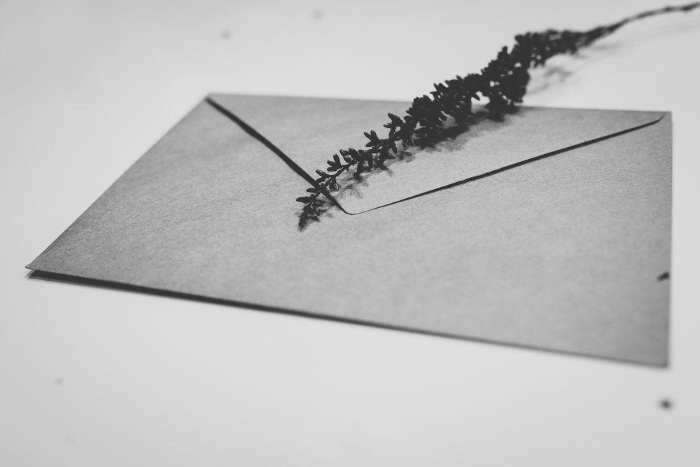 Craft envelope with dried flowers 2 Craft envelope with dried flowers 2