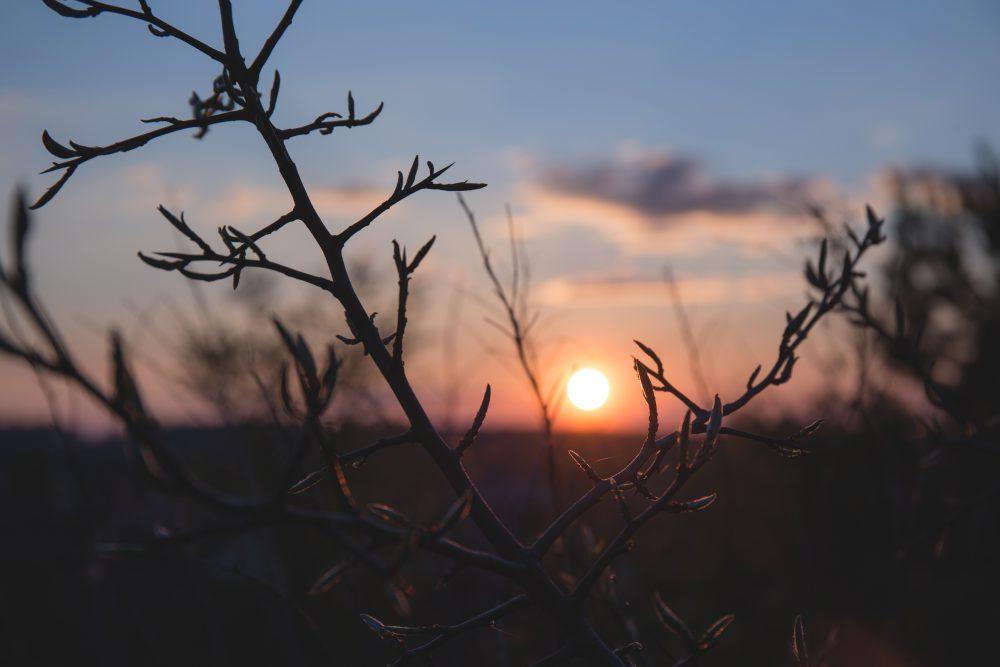 Spring sunset Spring sunset