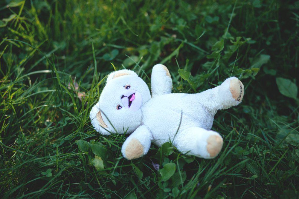 Teddy bear in grass Teddy bear in grass