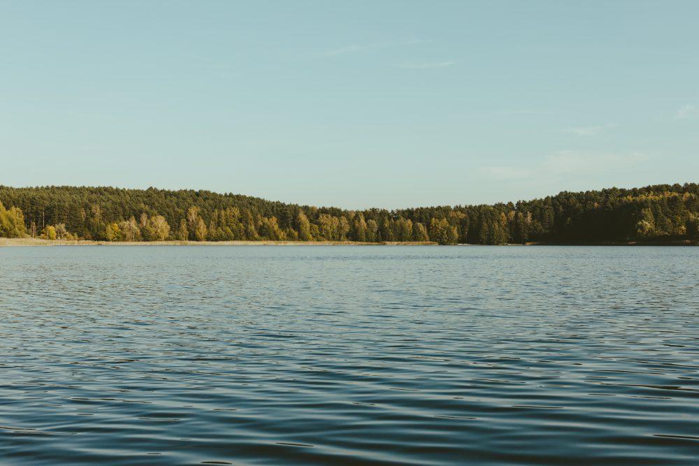 Wavy lake surrounded by forest Wavy lake surrounded by forest