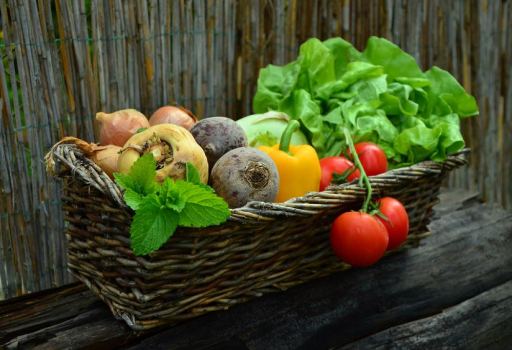 Basket of Fruits and Vegetables free photo Basket of Fruits and Vegetables free photo