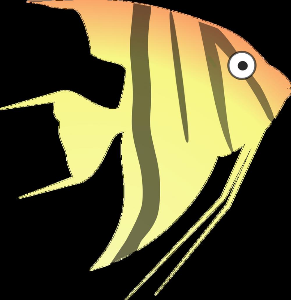 Cartoon Angelfish vector clipart free photo Cartoon Angelfish vector clipart free photo