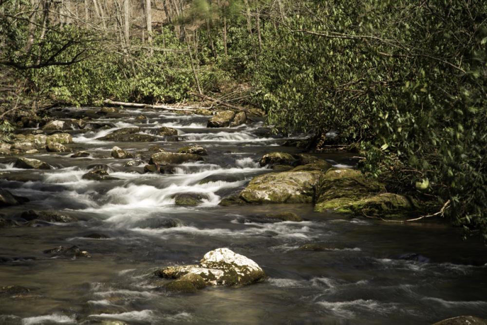 Cascading River Landscape in Great Smoky Mountains National Park, North Carolina free photo Cascading River Landscape in Great Smoky Mountains National Park, North Carolina free photo