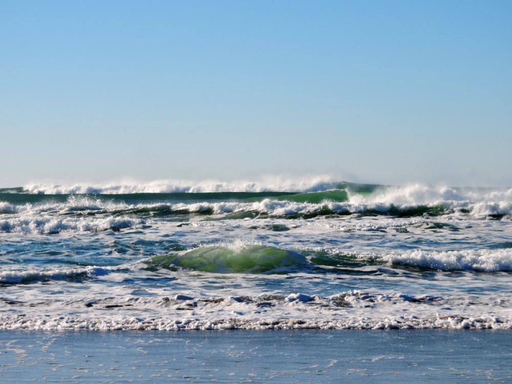 Coastal Waves in Oregon free photo Coastal Waves in Oregon free photo