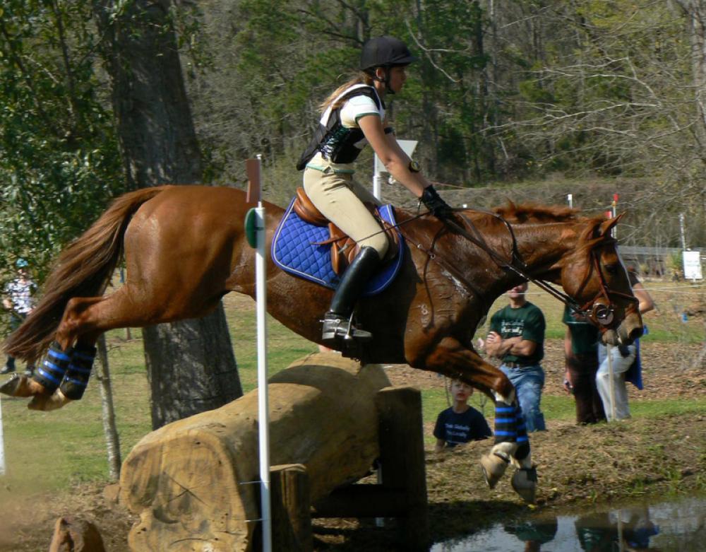 Cross-country riding competition at Red Hills Horse Trial in Tallahassee, Florida free photo Cross-country riding competition at Red Hills Horse Trial in Tallahassee, Florida free photo