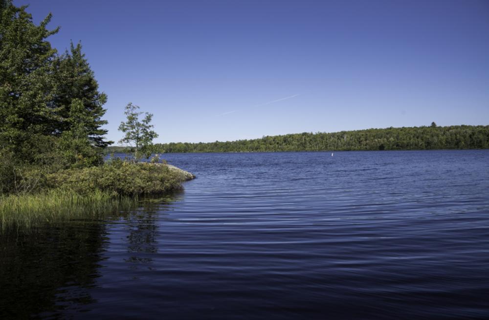 A curve in the lake at Van Riper State Park, Michigan free photo A curve in the lake at Van Riper State Park, Michigan free photo