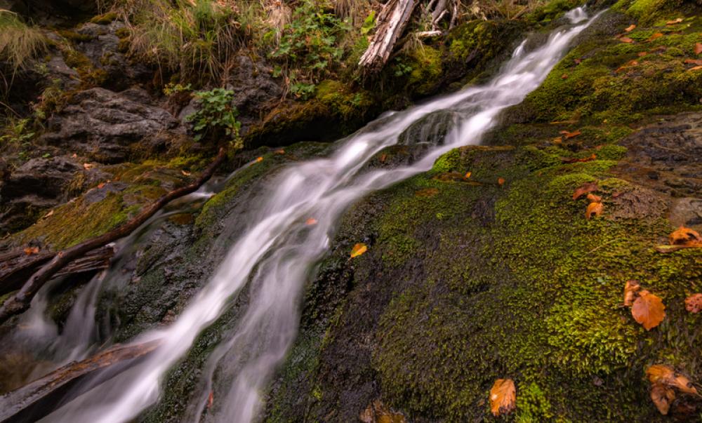 Falling Water in the outdoors nature free photo Falling Water in the outdoors nature free photo
