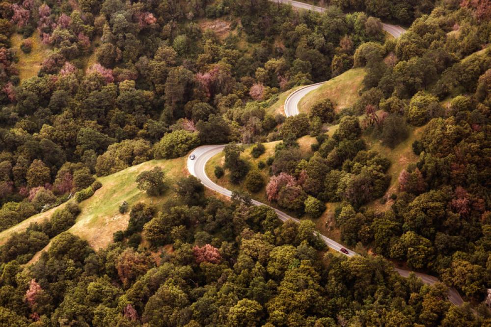 Forest and hills landscape with road free photo Forest and hills landscape with road free photo