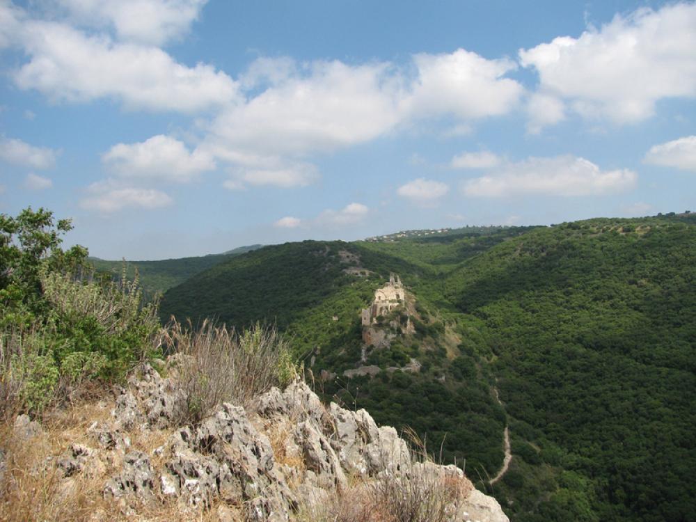 Hills and Trees in Israel free photo Hills and Trees in Israel free photo