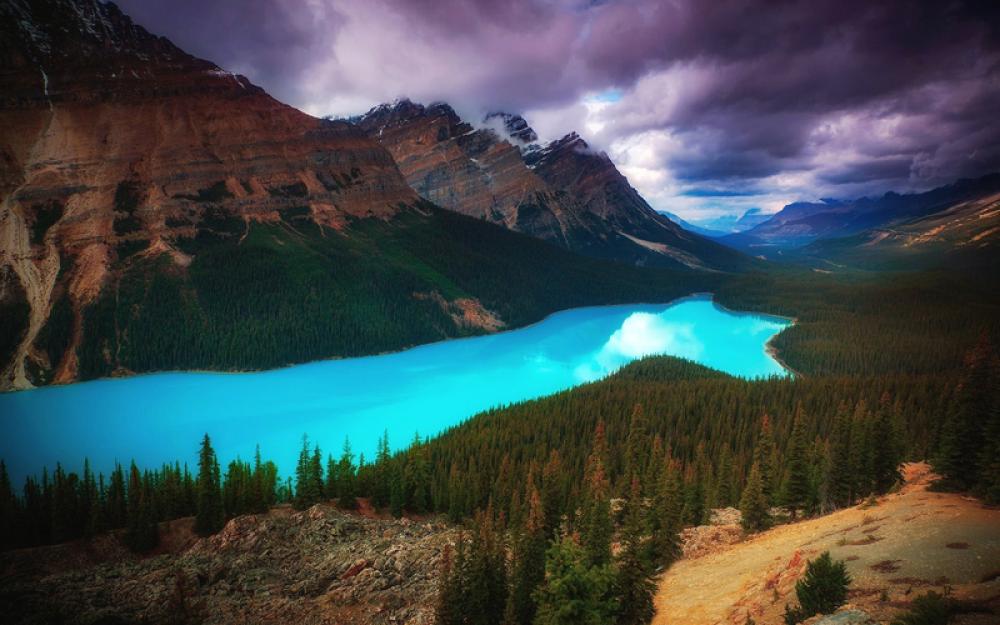 Lake in the Mountain with trees and forest landscape free photo Lake in the Mountain with trees and forest landscape free photo