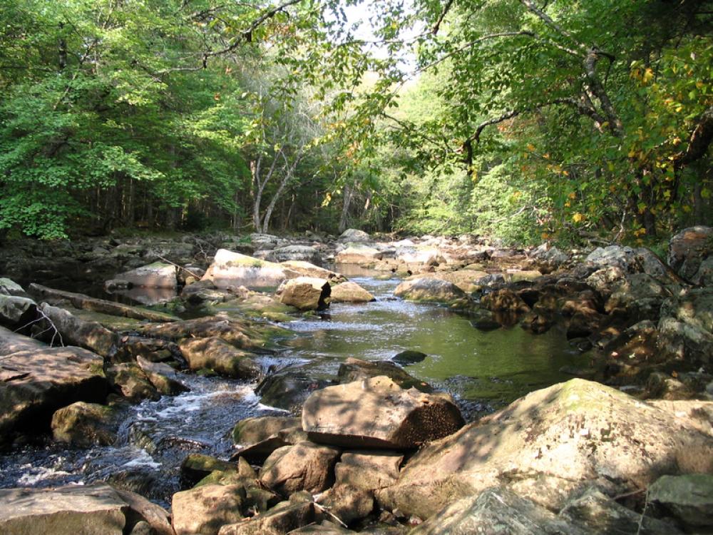 Little River in the Fall in Nova Scotia, Canada free photo Little River in the Fall in Nova Scotia, Canada free photo