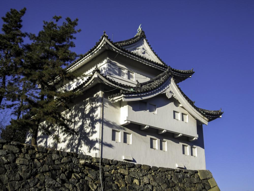 Looking at Nagoya Castle, Japan free photo Looking at Nagoya Castle, Japan free photo