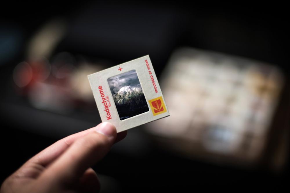Looking at small photo free photo Looking at small photo free photo