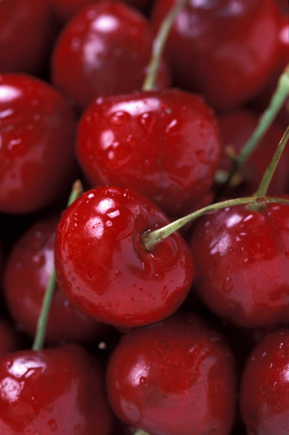 Lots of big Cherries free photo Lots of big Cherries free photo