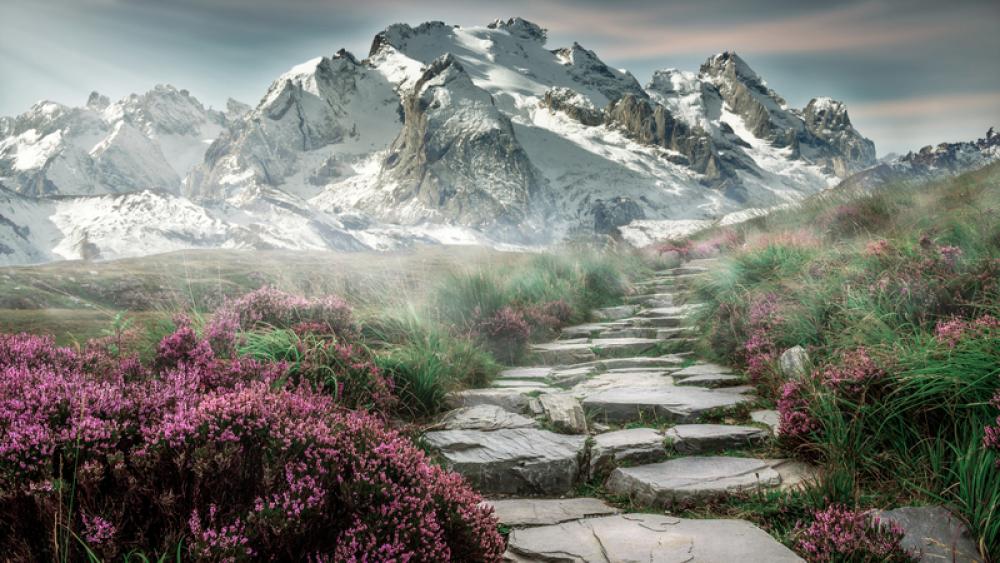 Mountain landscape with flowers and hiking steps in Steinweg, Germany free photo Mountain landscape with flowers and hiking steps in Steinweg, Germany free photo
