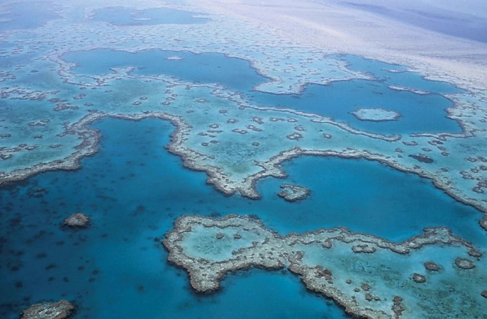 Overhead view of the great barrier reef, Queensland, Australia free photo Overhead view of the great barrier reef, Queensland, Australia free photo
