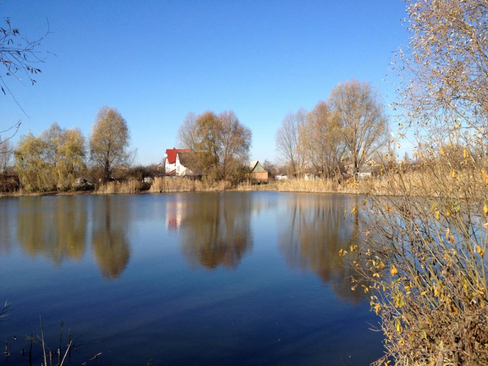 Pond and Houses landscape in Ukraine free photo Pond and Houses landscape in Ukraine free photo