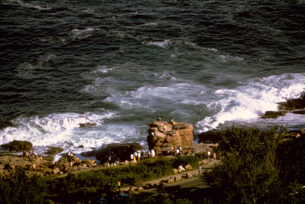 Rugged Coastline at Acadia National Park, Maine free photo Rugged Coastline at Acadia National Park, Maine free photo