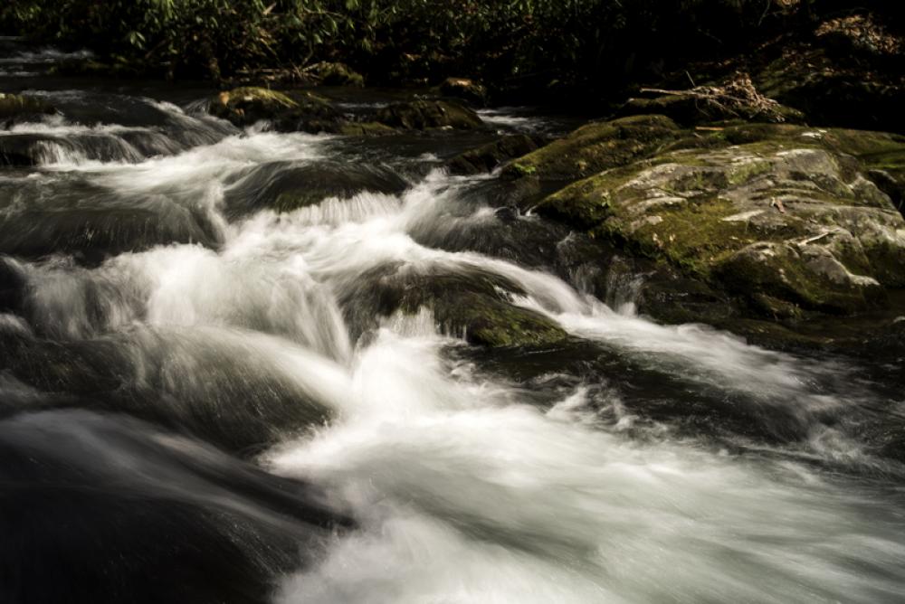 Rushing water of the River at Great Smoky Mountains National Park, North Carolina free photo Rushing water of the River at Great Smoky Mountains National Park, North Carolina free photo