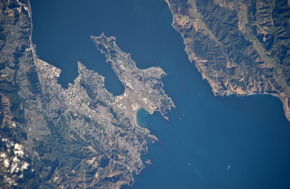 Satellite Image of Wellington, New Zealand free photo Satellite Image of Wellington, New Zealand free photo