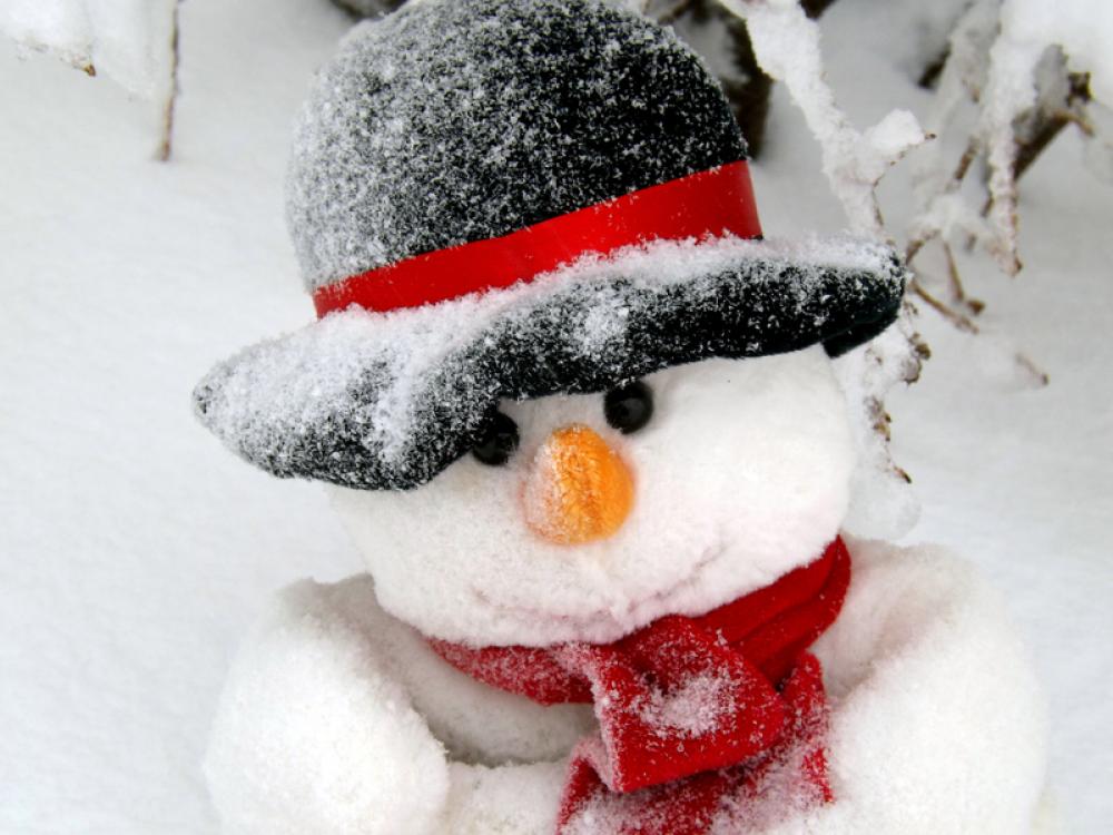 Snowman with face and hat free photo Snowman with face and hat free photo