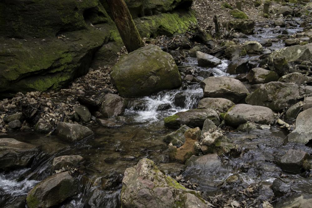 Stream Running Down the rocky creek at Parfrey's Glen, Wisconsin free photo Stream Running Down the rocky creek at Parfrey's Glen, Wisconsin free photo