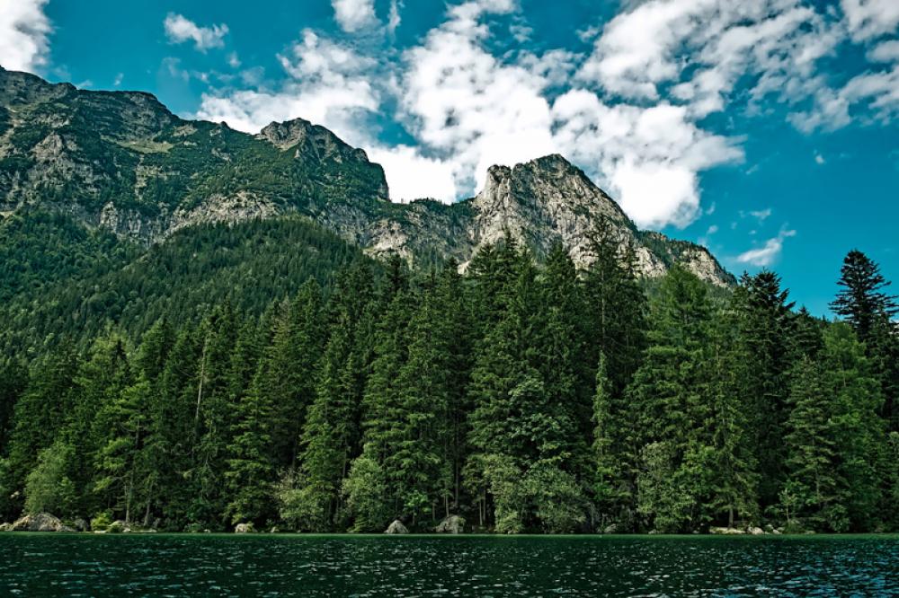 Trees and Forest with Rocks and Mountains with Clouds and Sky in Washington free photo Trees and Forest with Rocks and Mountains with Clouds and Sky in Washington free photo