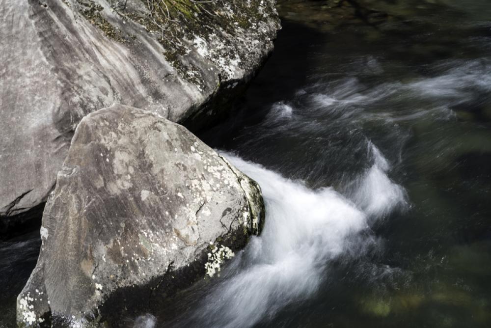 Water skirting around the round in Great Smoky Mountains National Park, North Carolina free photo Water skirting around the round in Great Smoky Mountains National Park, North Carolina free photo