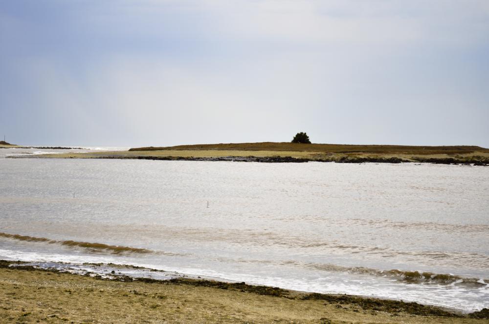 Uruguay Beach landscape with a clear sky free image Uruguay Beach landscape with a clear sky free image