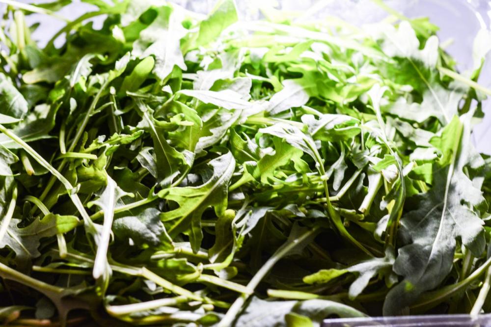 Fresh Rucola close up under light.jpg Fresh Rucola close up under light.jpg