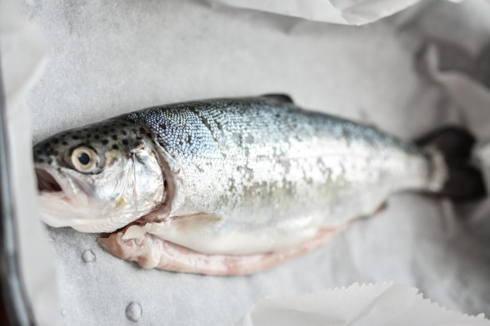 Fresh fish ready for baking Fresh fish ready for baking