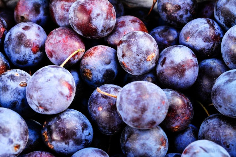 Plums top view Plums top view