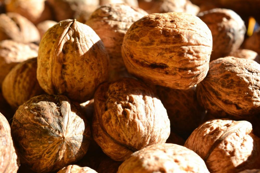 Walnuts close up Walnuts close up