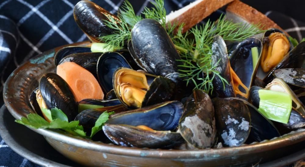 Mussels Mussels