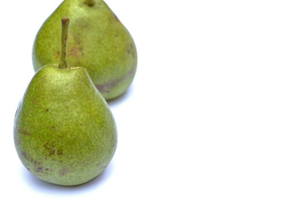 Two pears on white background Two pears on white background