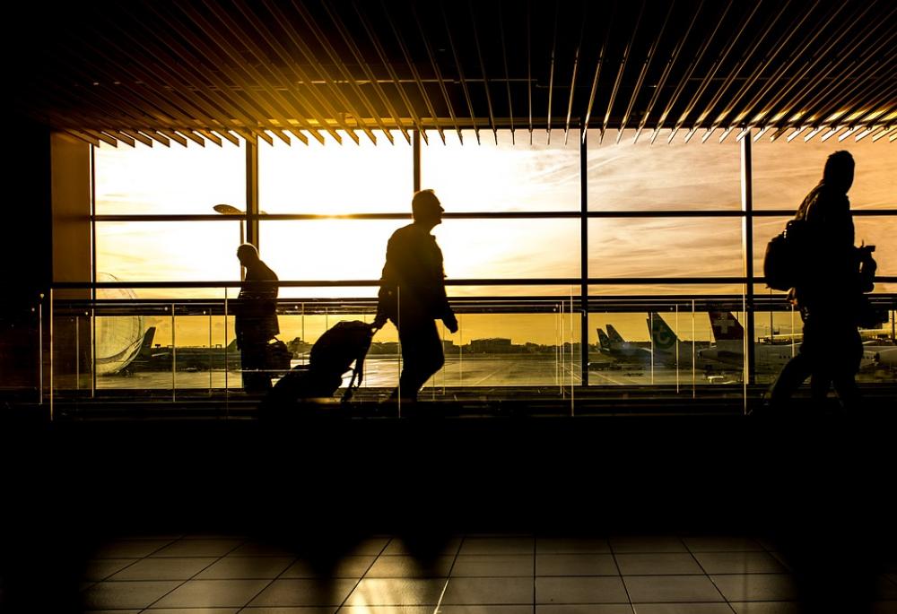 Airport Man Travel Traveler Passenger Person Airport Man Travel Traveler Passenger Person