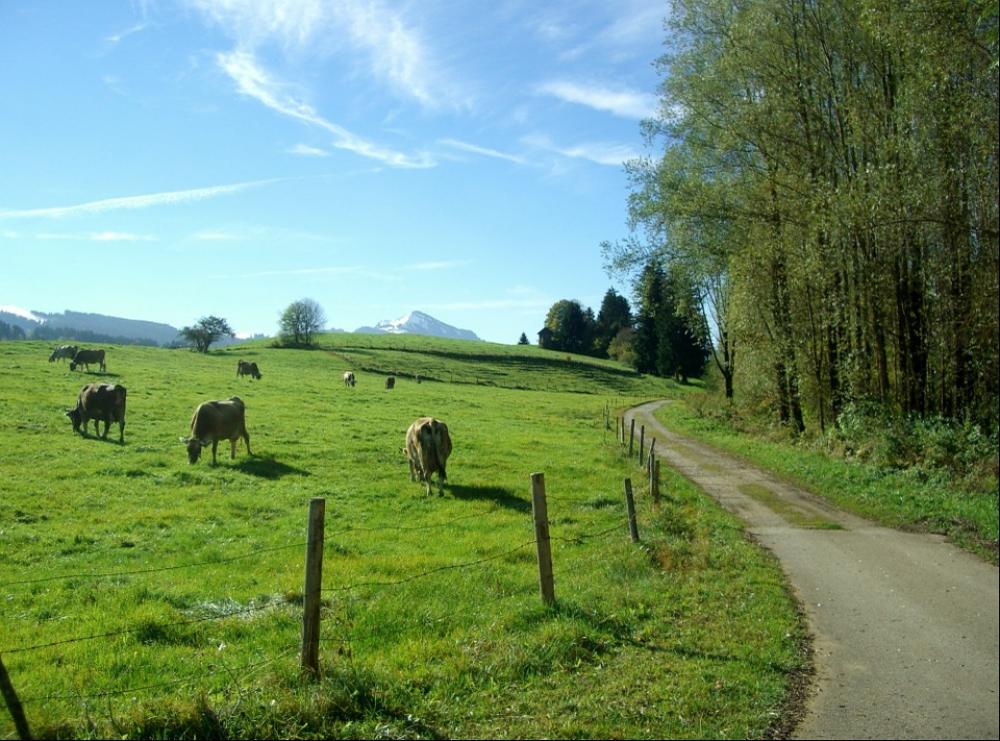 Allgäu Away Nature Ruins Green Blue Sky Grass Allgäu Away Nature Ruins Green Blue Sky Grass