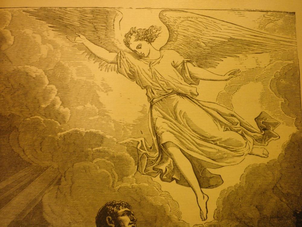 Angel Christmas Religion Christianity Faith Angel Christmas Religion Christianity Faith