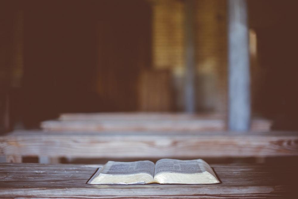 Antique Book Read Bible Knowledge Literature Antique Book Read Bible Knowledge Literature