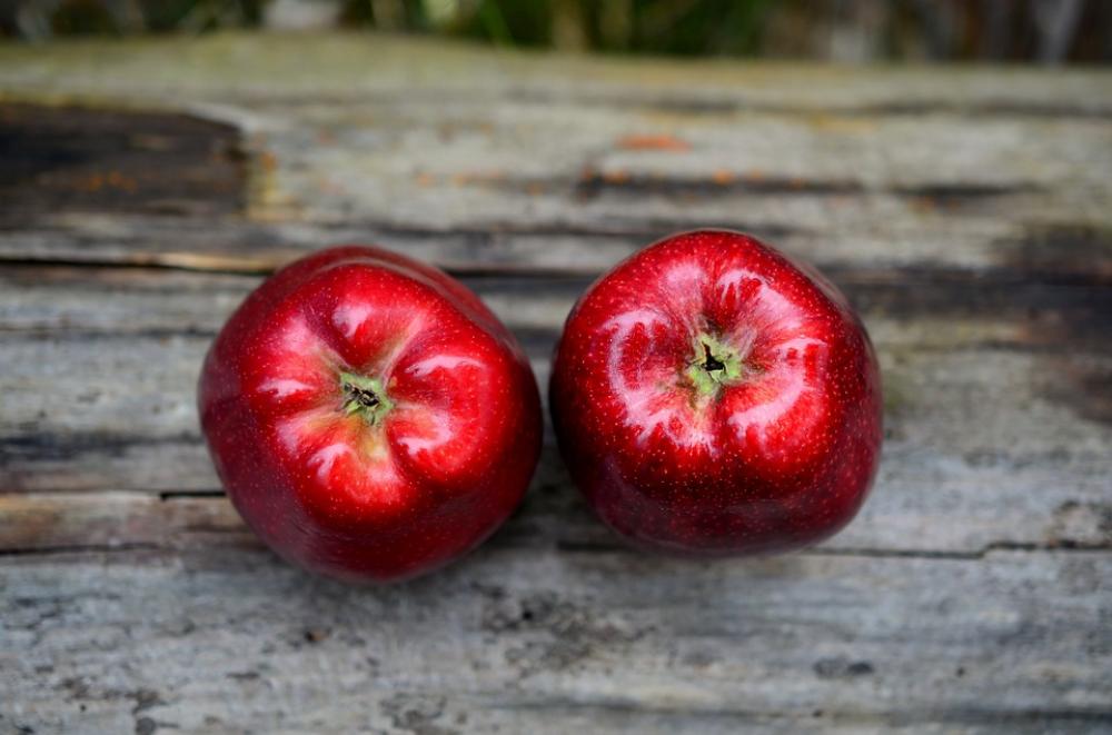 Apple Red Red Apple Fruit Healthy Vitamins Fresh Apple Red Red Apple Fruit Healthy Vitamins Fresh