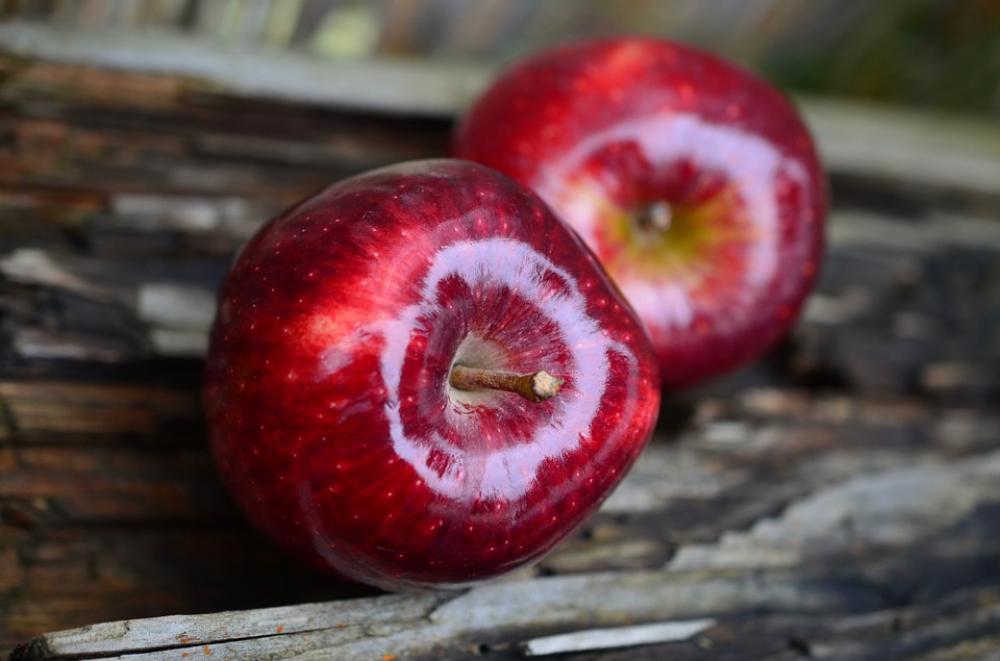 Apple Red Apple Fruit Red Healthy Vitamins Fresh Apple Red Apple Fruit Red Healthy Vitamins Fresh