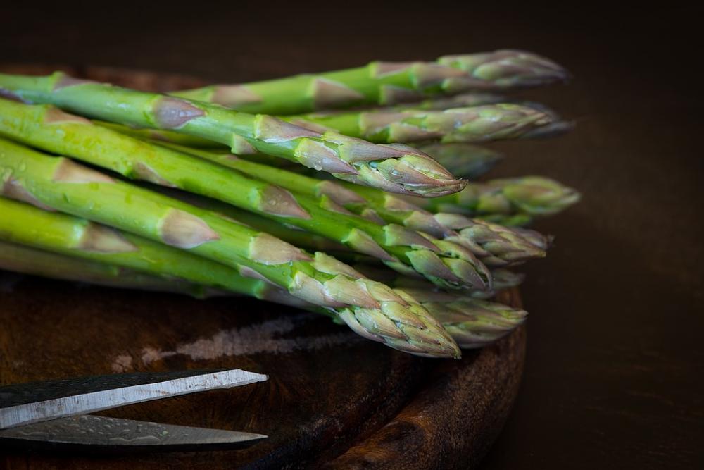 Asparagus Green Asparagus Green Eat Vegetables Asparagus Green Asparagus Green Eat Vegetables