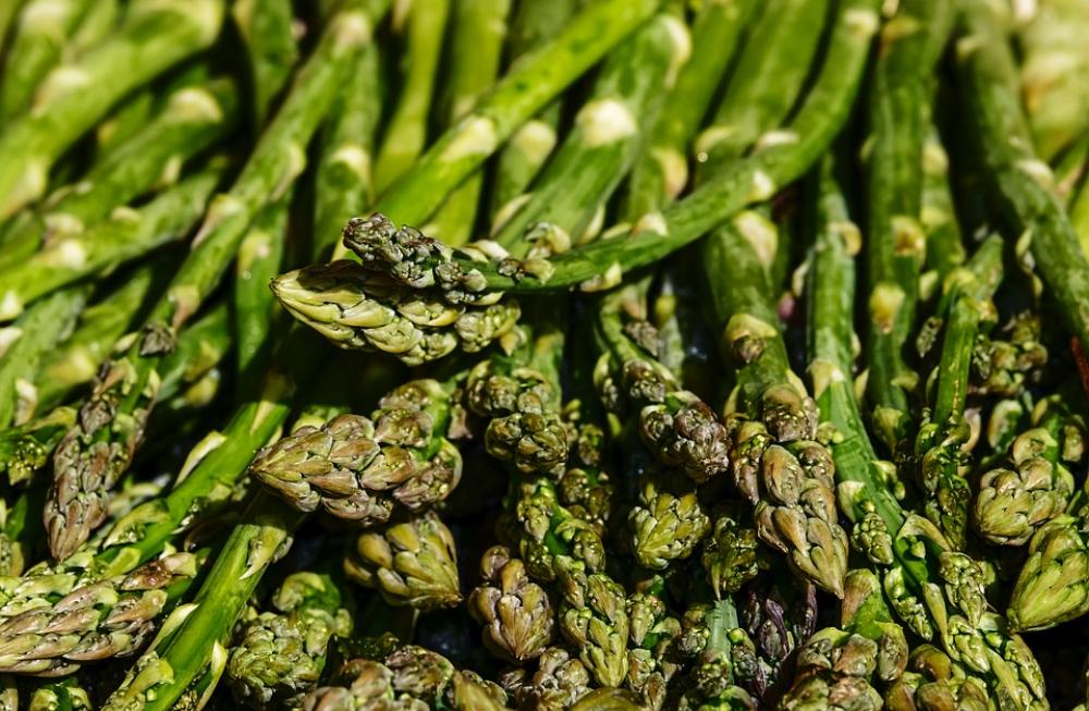 Asparagus Green Asparagus Green Asparagus Time Asparagus Green Asparagus Green Asparagus Time