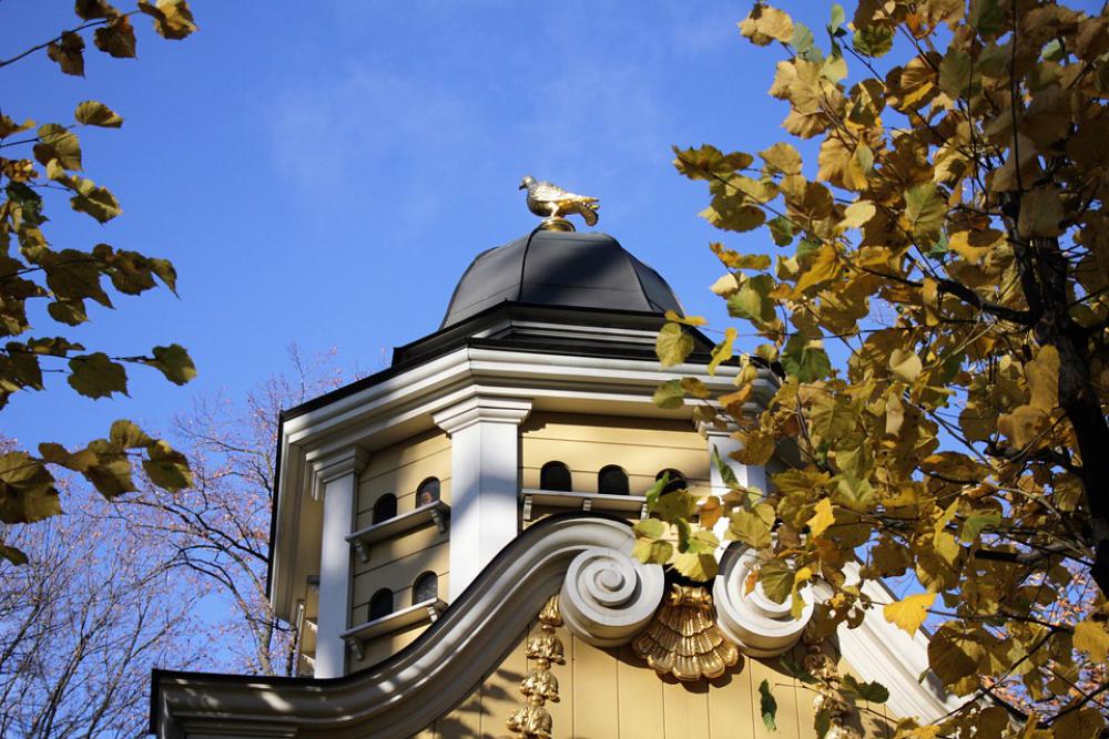 Autumn Gold Bird Travel St Petersburg Russia Autumn Gold Bird Travel St Petersburg Russia