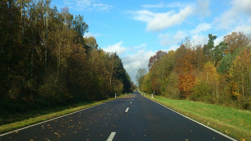 Autumn Road Autumn Day Forest Autumn Road Autumn Day Forest