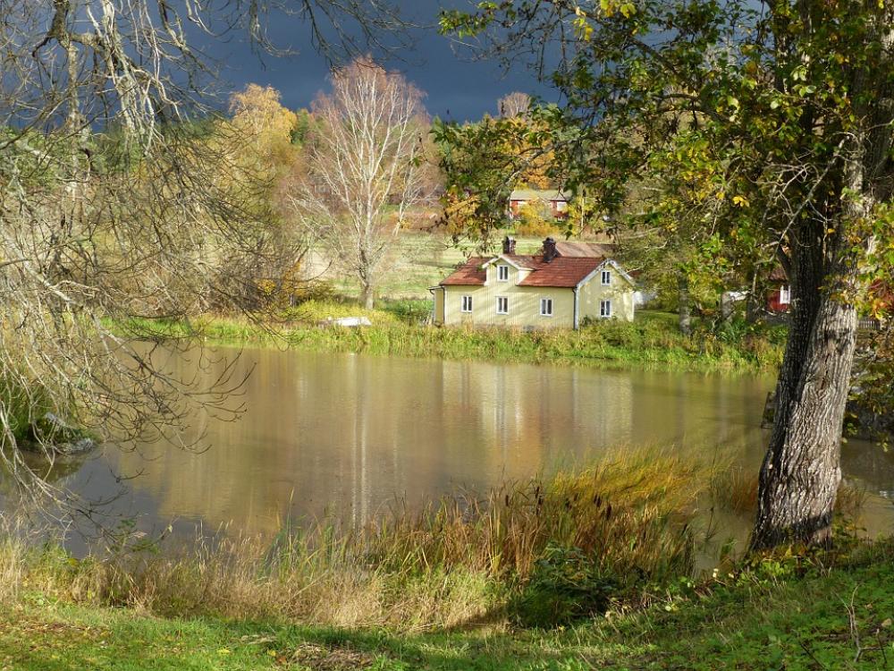 Autumn Tree Himmel House Water Lake Mirroring Autumn Tree Himmel House Water Lake Mirroring